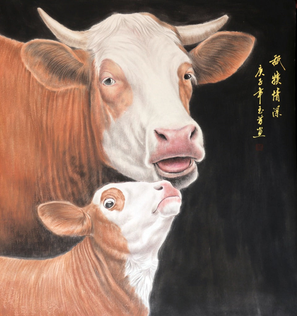 Deep Affection Between Mother and Calf